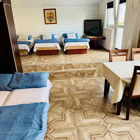 Goscinne Teligi 1 - Adriana *