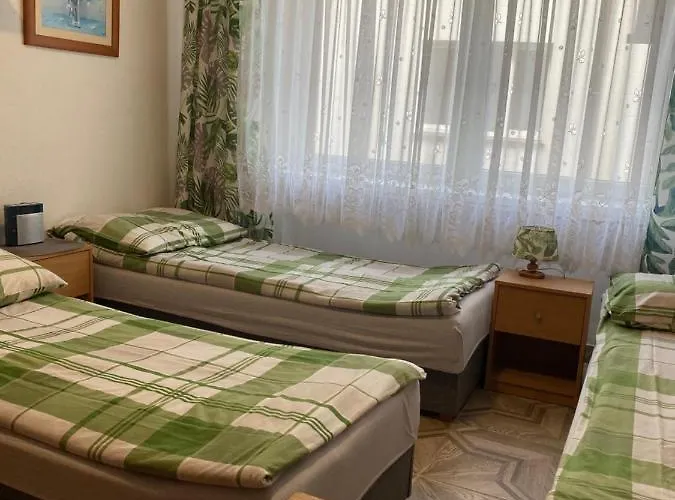 Проживание в семье Goscinne Teligi 1 - Adriana *