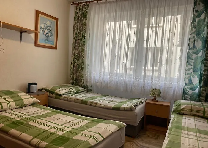 Goscinne Teligi 1 - Adriana Проживание в семье *