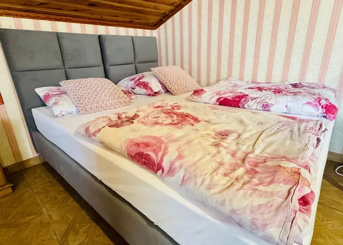 Goscinne Teligi 1 - Adriana Проживание в семье *